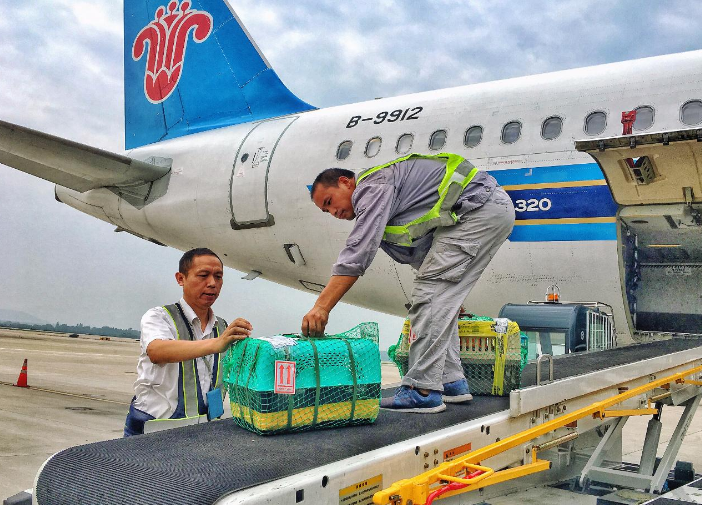 航空托運(yùn)包裝(圖1) 航空托運(yùn)包裝(圖1)